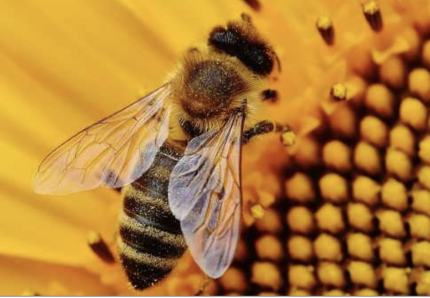 Bildschirmfoto 2019-01-16 um 11.44.08