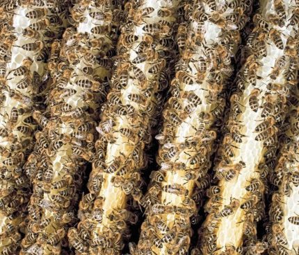 Bildschirmfoto 2019-01-16 um 11.58.13