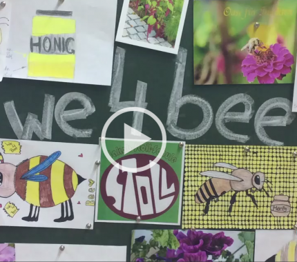 Bildschirmfoto 2019-02-05 um 09.23.28