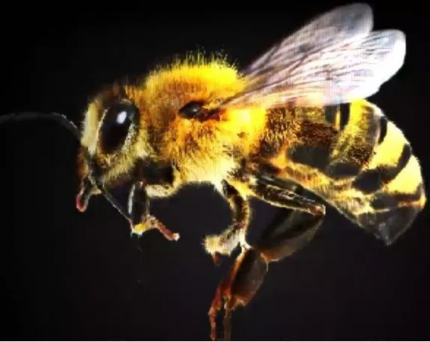 Bildschirmfoto 2019-02-13 um 19.24.35