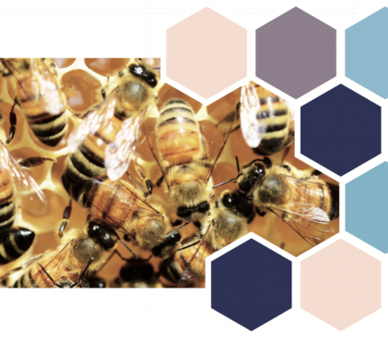 Bildschirmfoto 2019-04-02 um 20.53.44