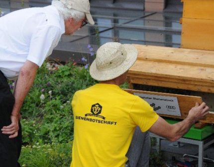 Bildschirmfoto 2019-08-06 um 14.56.47