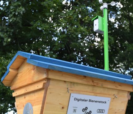 we4bee-TBH der Augsburger Allgemeinen