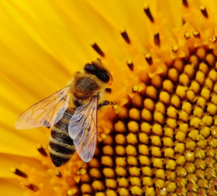 Bildschirmfoto 2019-10-30 um 15.33.13