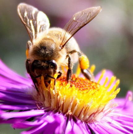 Bildschirmfoto 2019-10-30 um 15.44.29