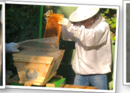 Bildschirmfoto 2019-10-30 um 15.54.13