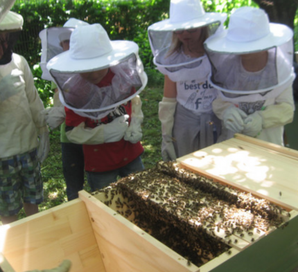 Bildschirmfoto 2019-10-30 um 16.12.02