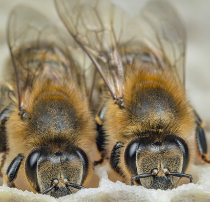 Bildschirmfoto 2019-10-30 um 16.36.13