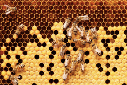 Bildschirmfoto 2020-01-22 um 14.51.28