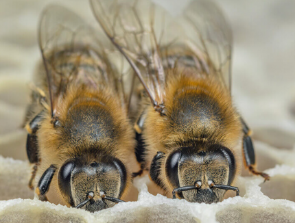 Bildschirmfoto 2020-03-23 um 11.38.09