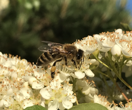 Bildschirmfoto 2020-05-20 um 22.09.49