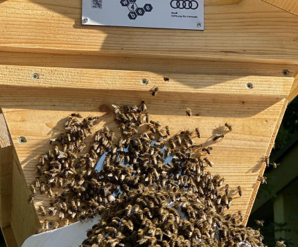 Bildschirmfoto 2020-05-20 um 22.14.49