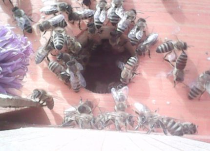 Bildschirmfoto 2020-05-27 um 00.00.38