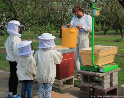 Schulbiologiezentrum Hannover