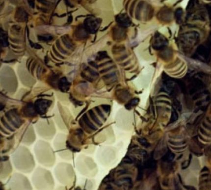 Bildschirmfoto 2020-07-01 um 20.07.09