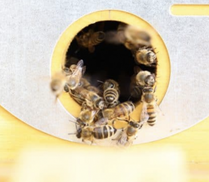 Bildschirmfoto 2020-07-11 um 00.20.51