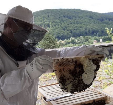 Bildschirmfoto 2020-07-13 um 10.49.45