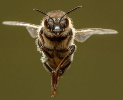 Bildschirmfoto 2020-09-21 um 17.26.43