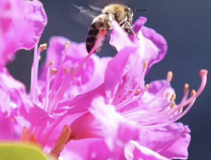 Bildschirmfoto 2022-08-24 um 14.35.51