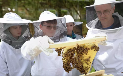 we4bee an der Mittelschule Höchberg
