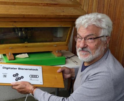 Ingenieur Hans Neumayr